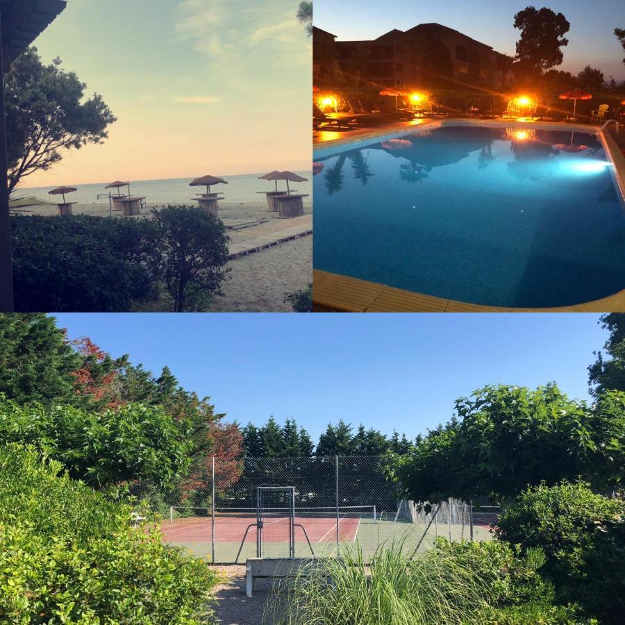 Joli T2 Les Pieds Dans L'Eau , Piscine Tennis.... San-Nicolao Eksteriør bilde